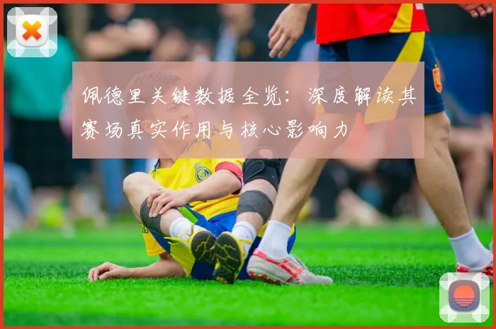 佩德里关键数据全览：深度解读其赛场真实作用与核心影响力