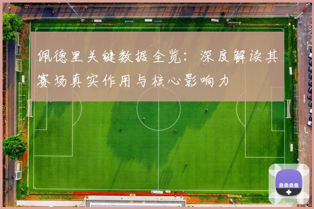 佩德里关键数据全览：深度解读其赛场真实作用与核心影响力